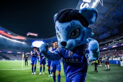 中超联赛冠军争夺战：蓉城队强势对决，海港对山东悬念迭起